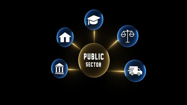 Government & Public Sector Projects
